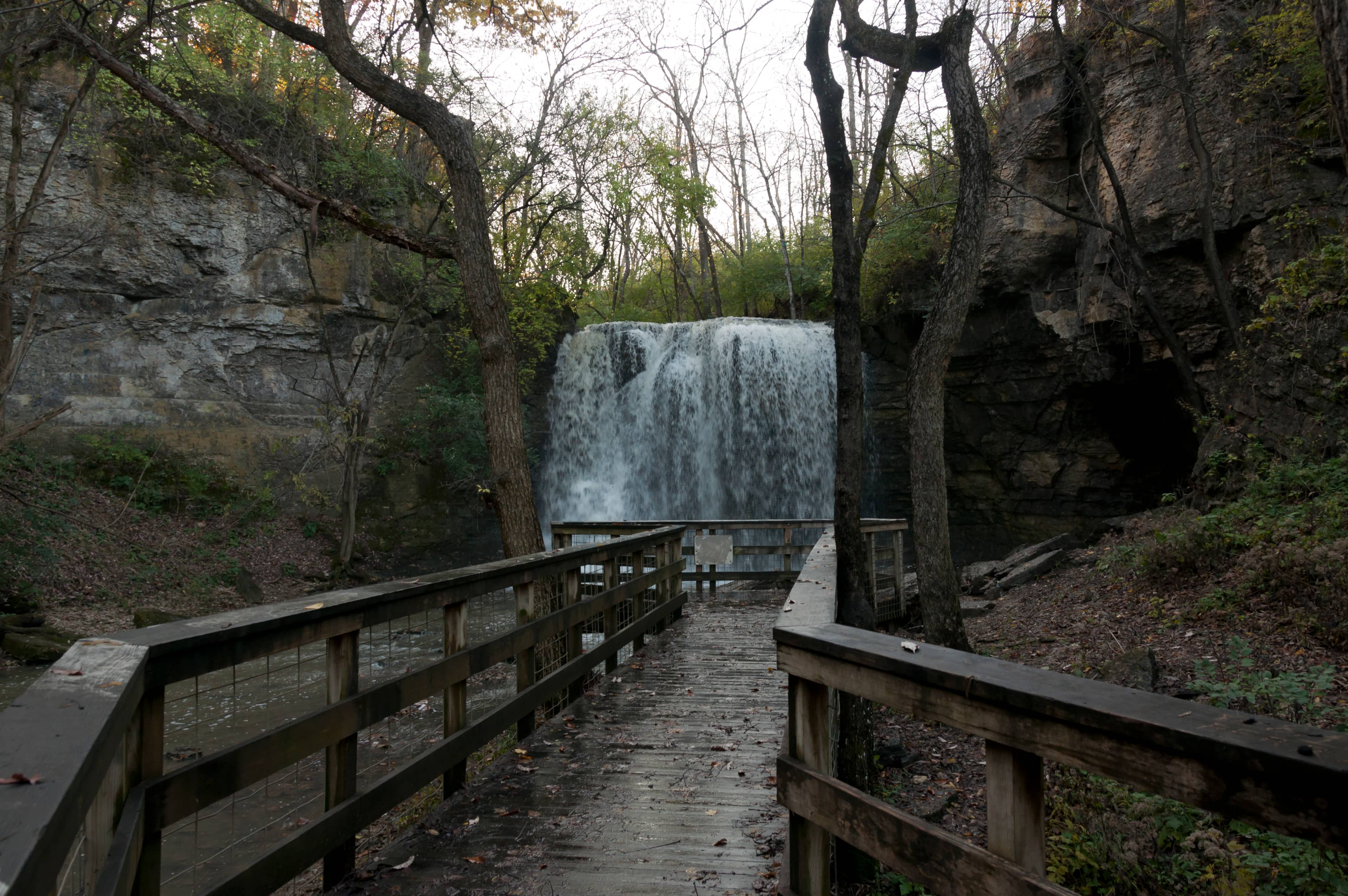 Boardwalk Trail