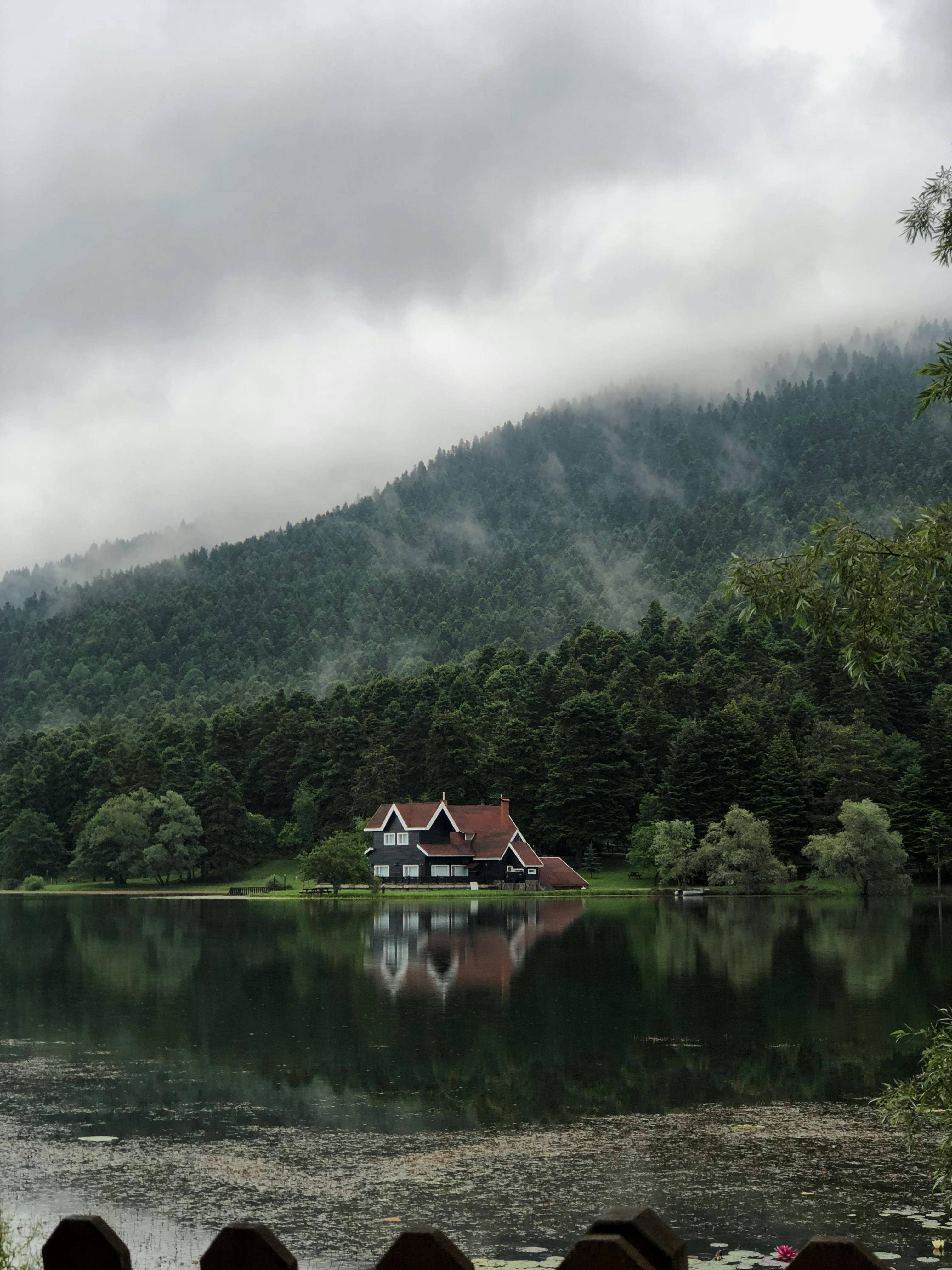 Picnic and Barbecue Areas