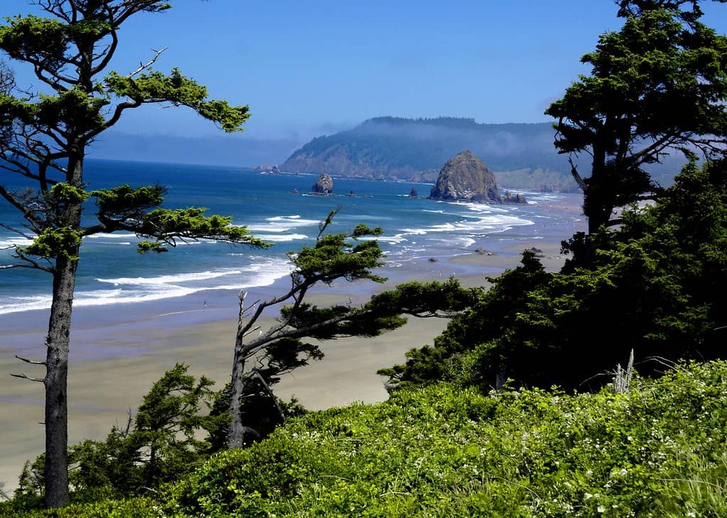 Coastal Serenity