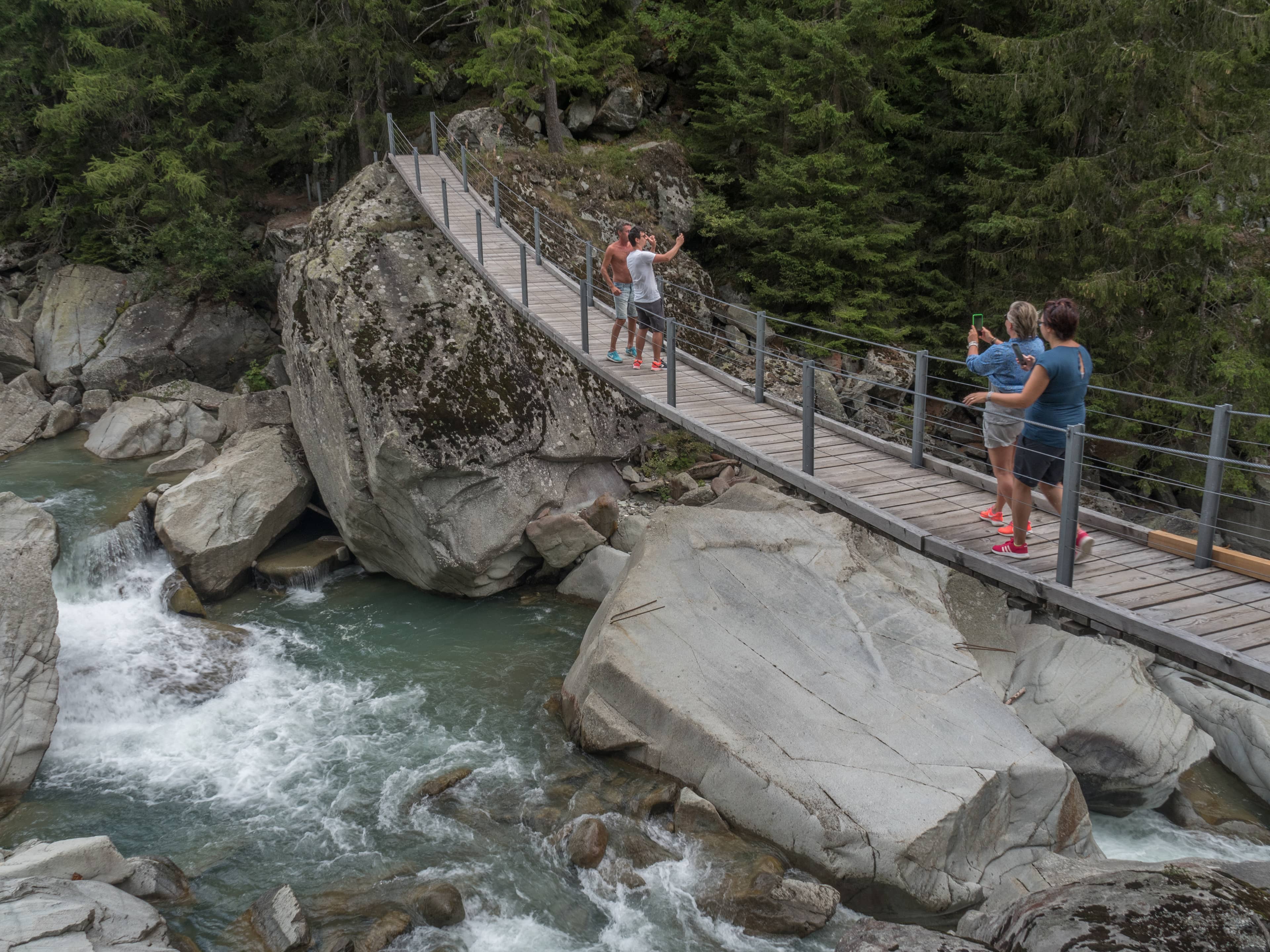 Forest Hike to the Falls
