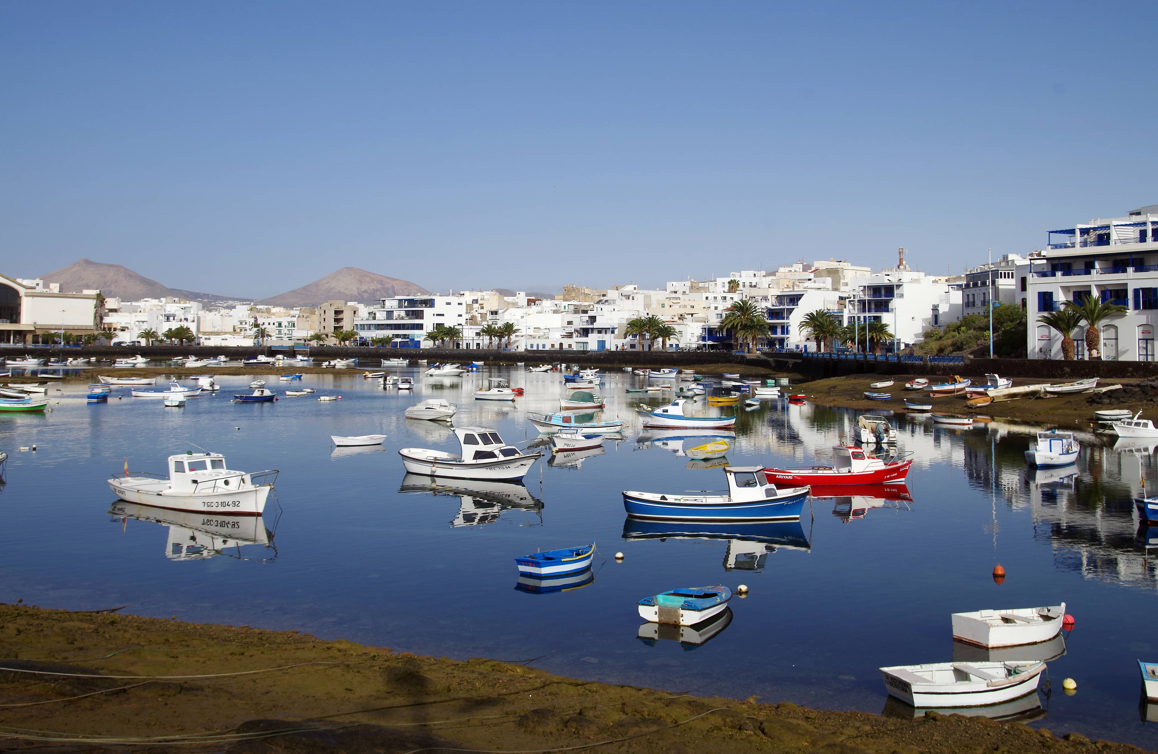 Local Seafood Dining