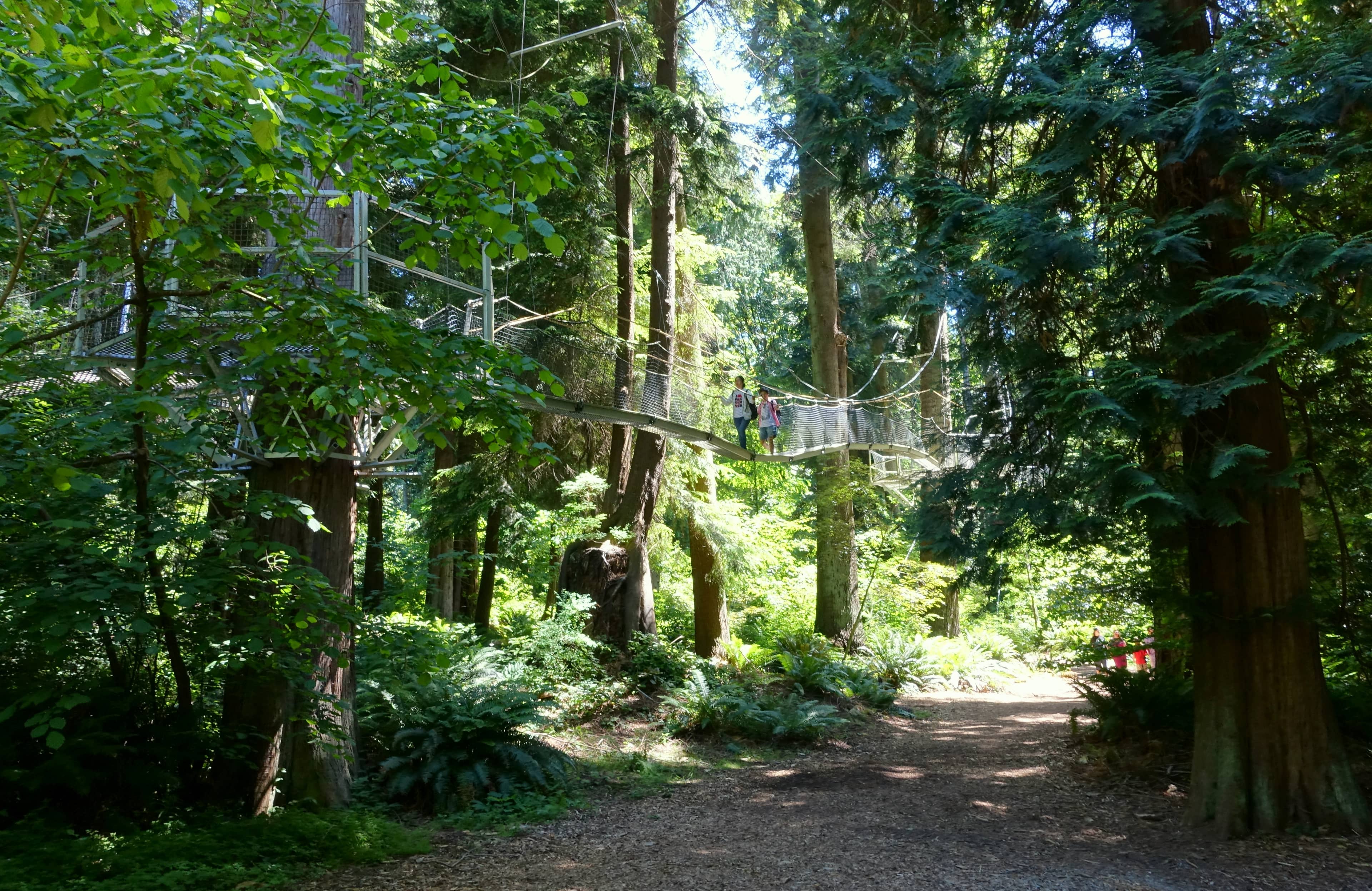 Peaceful Walking Paths