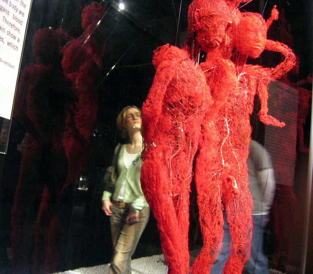 Diseases & Disorders