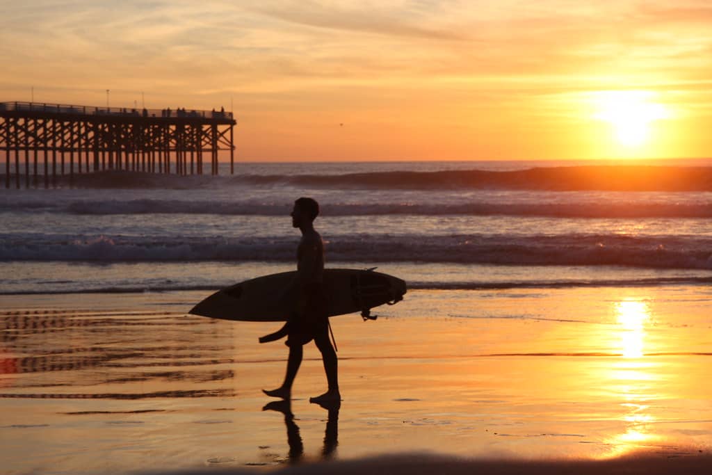 Surfer Watching