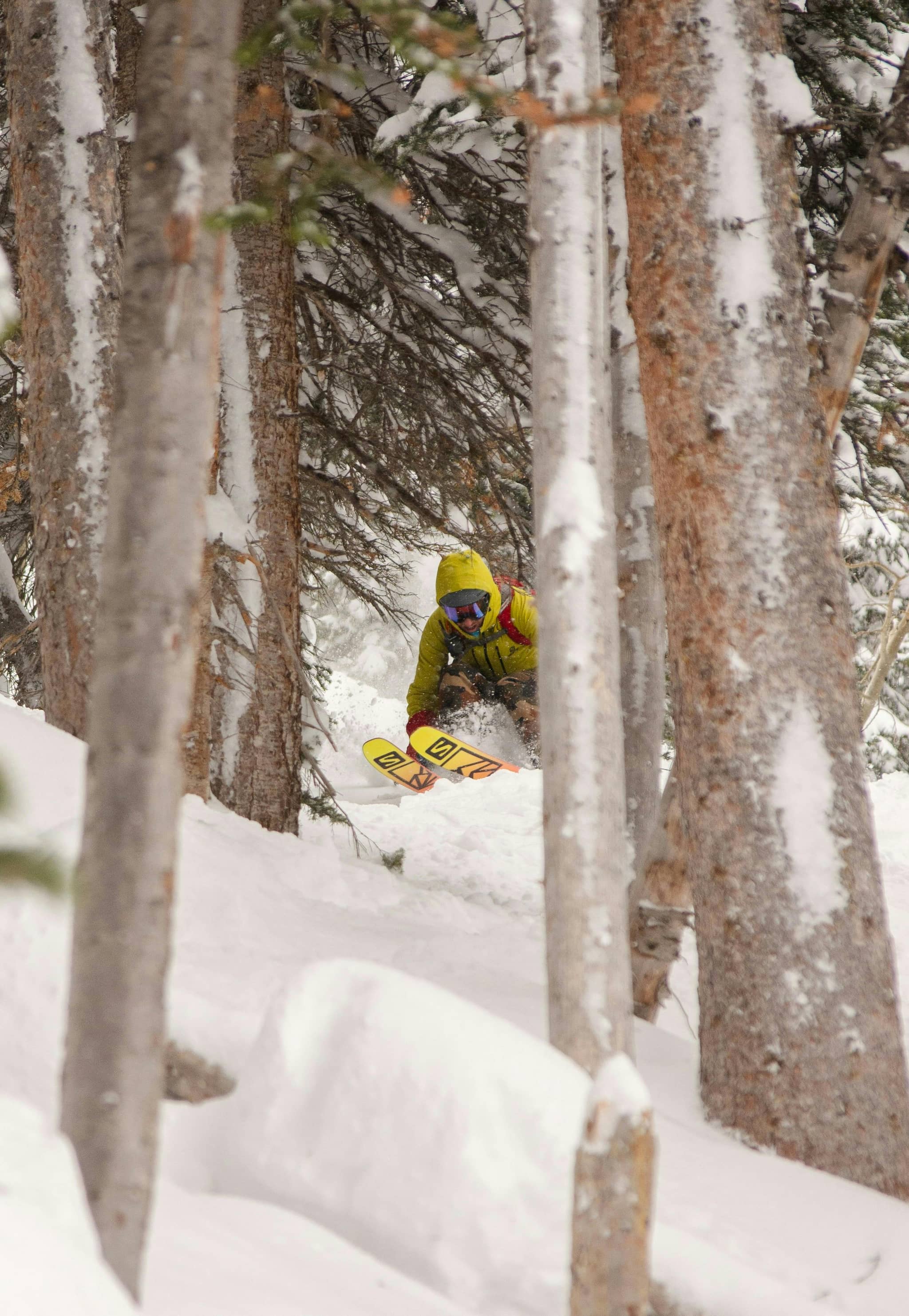 Tree Riding