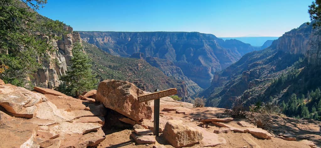 Coconino Overlook Trail