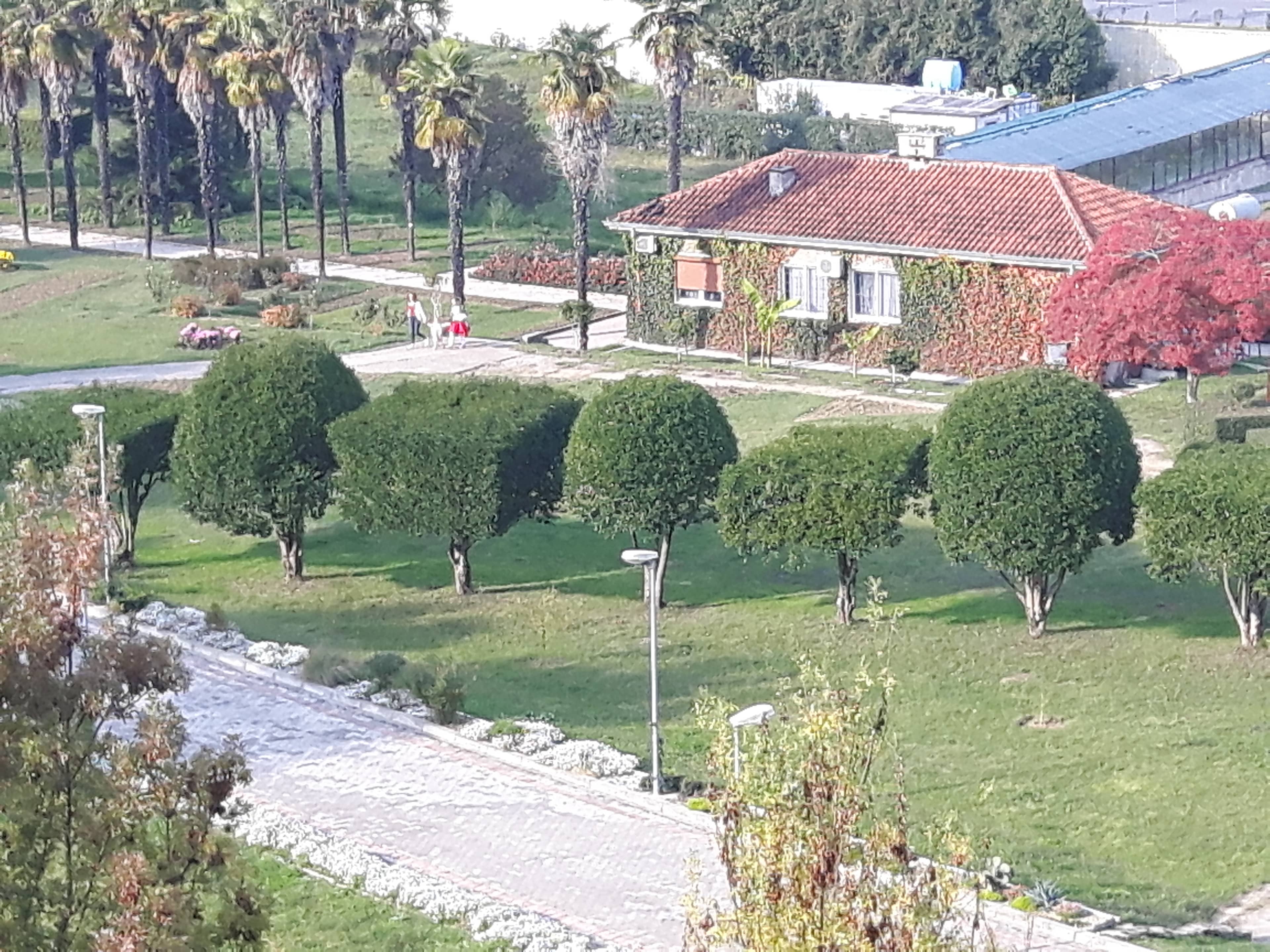 Albanian Flora Collection