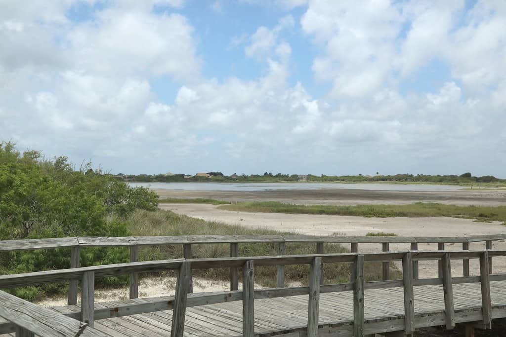 Wetlands Boardwalk & Birding Platform