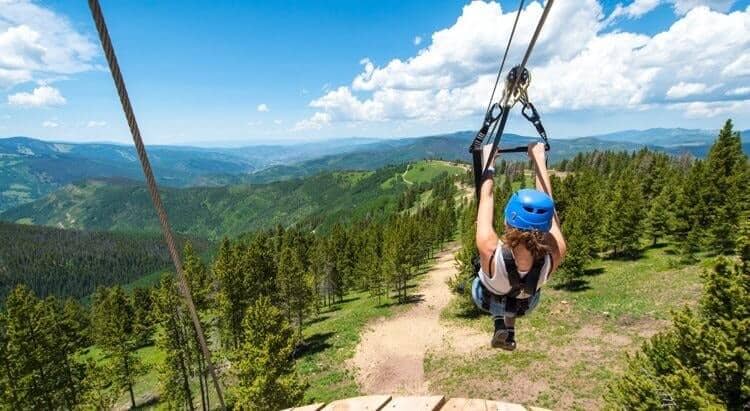 Tree Trek Tour