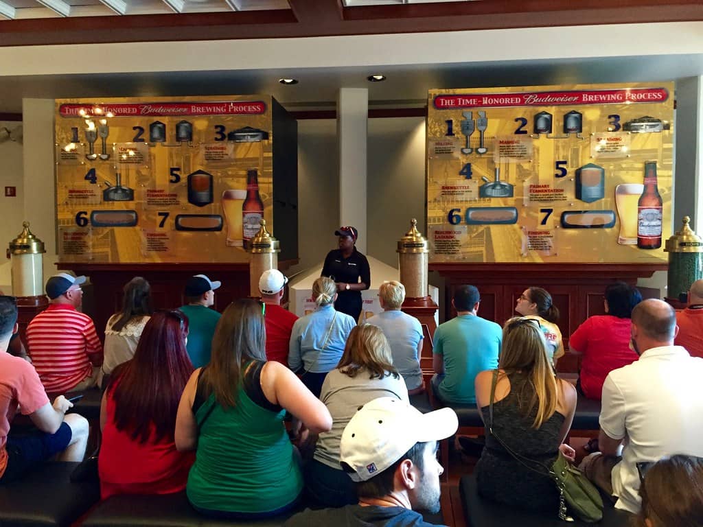 Brewing Process & Tastings