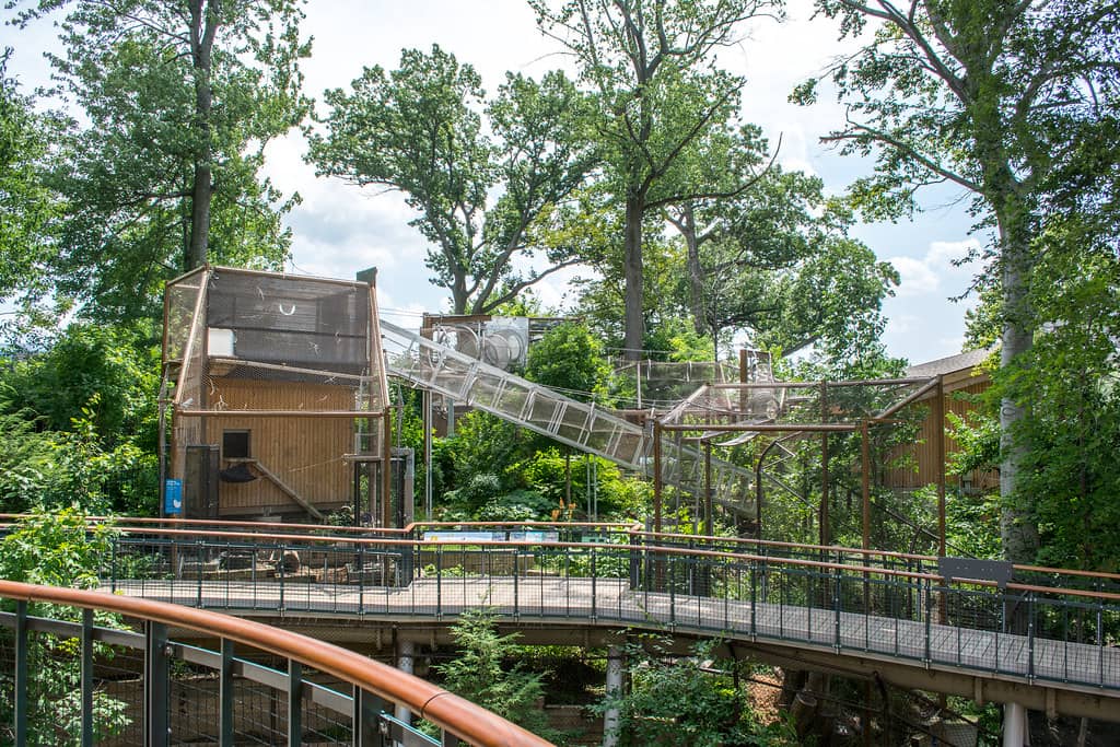 Nature Photography Gallery