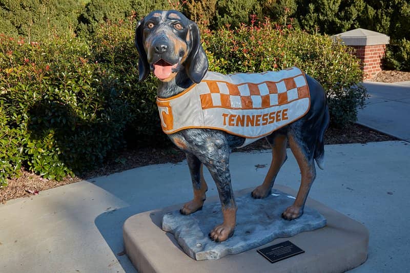 Smokey the Mascot