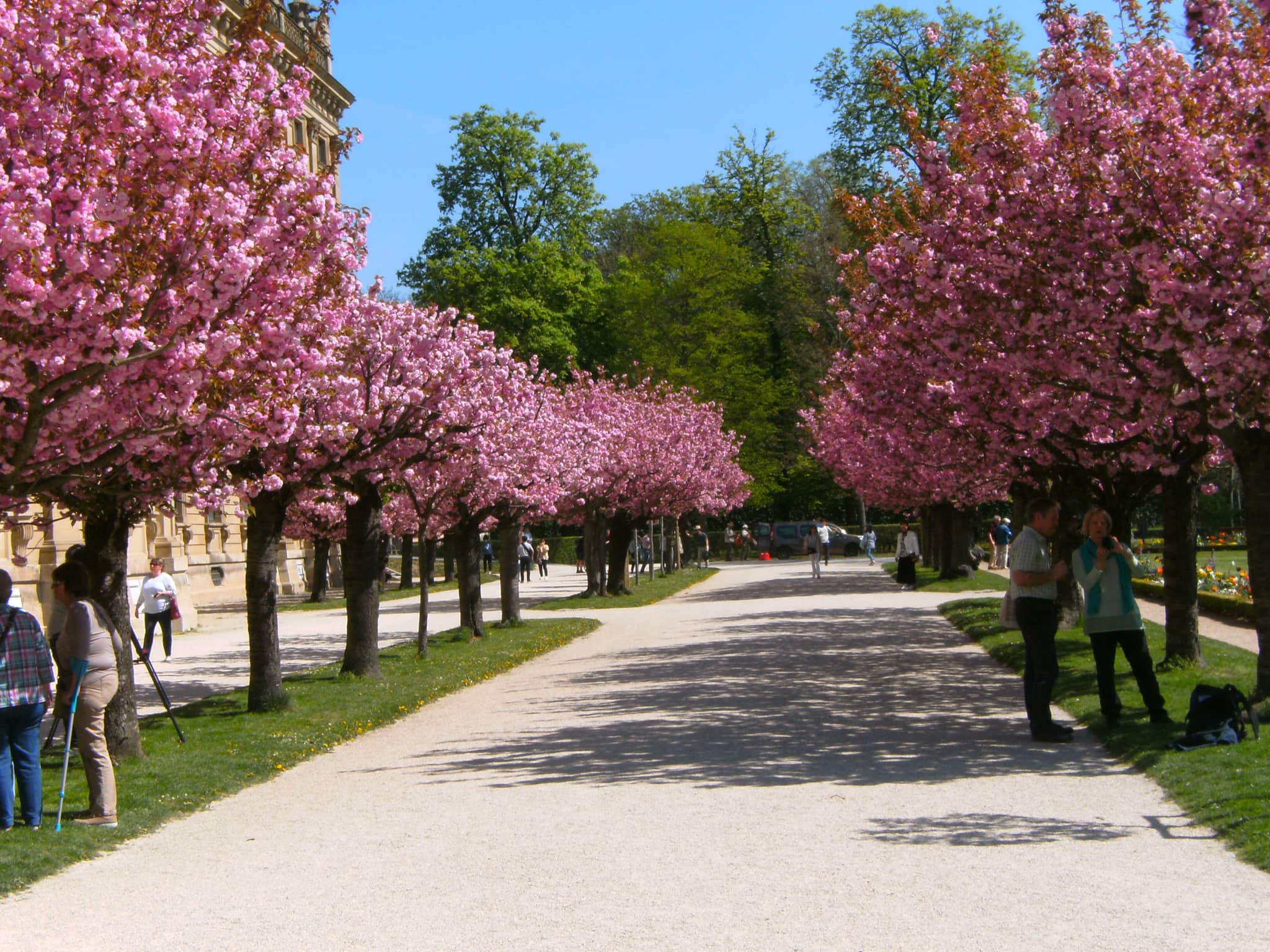 Hofgarten (Court Garden)