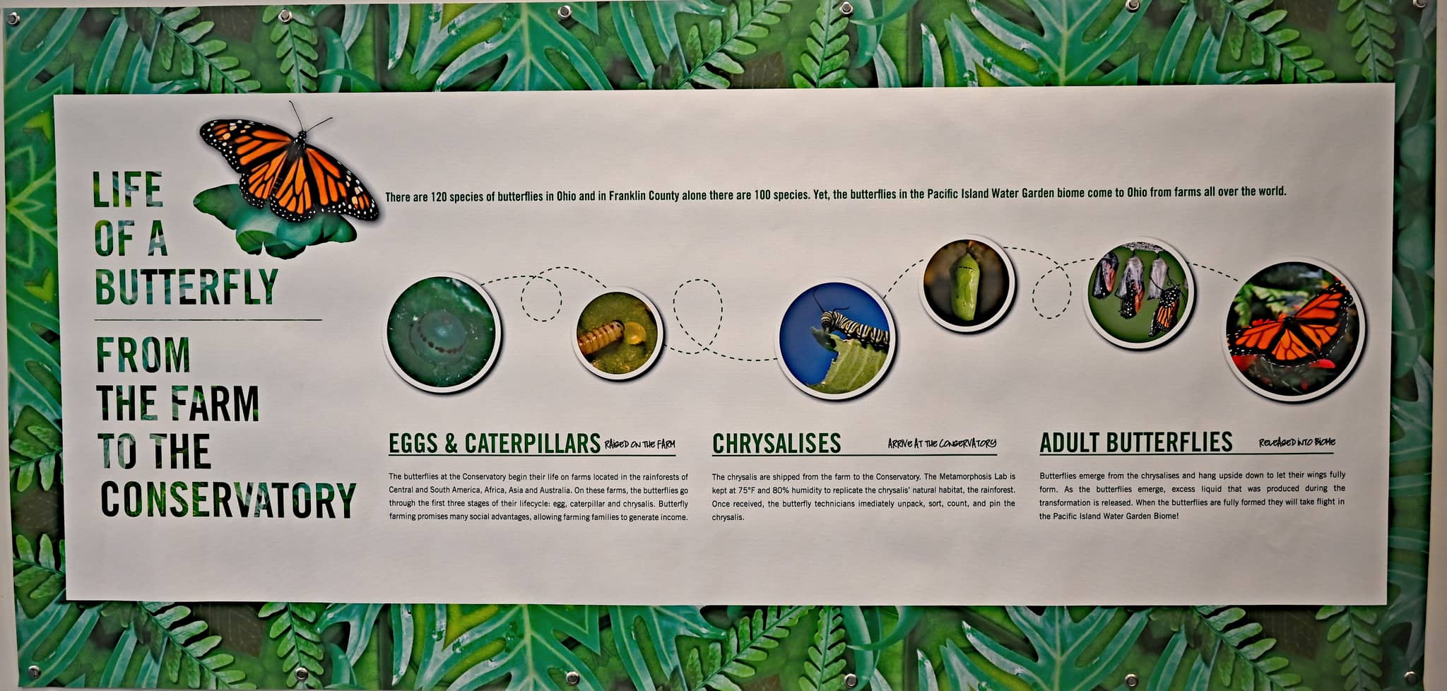 Life Cycle Stations