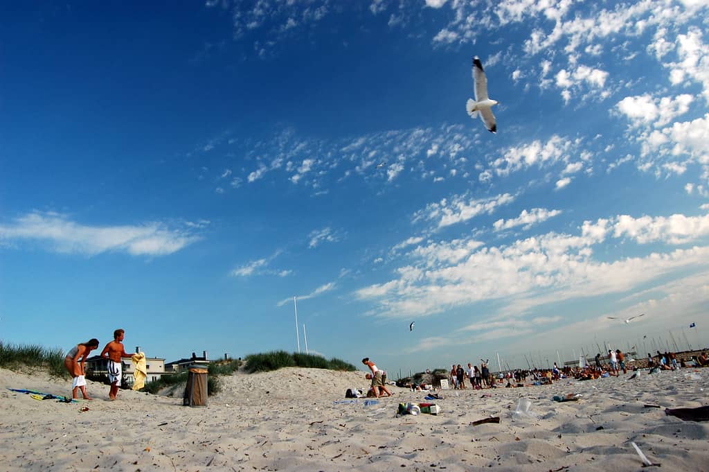 Sandy Shores for Relaxation