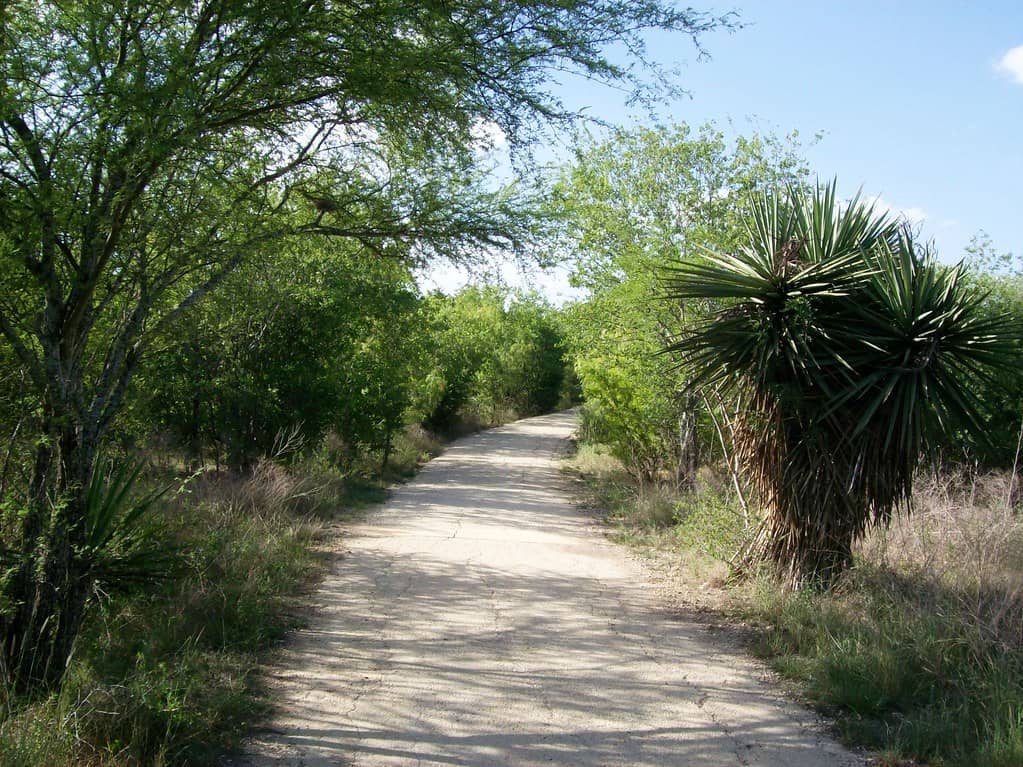Paved & Unpaved Trails