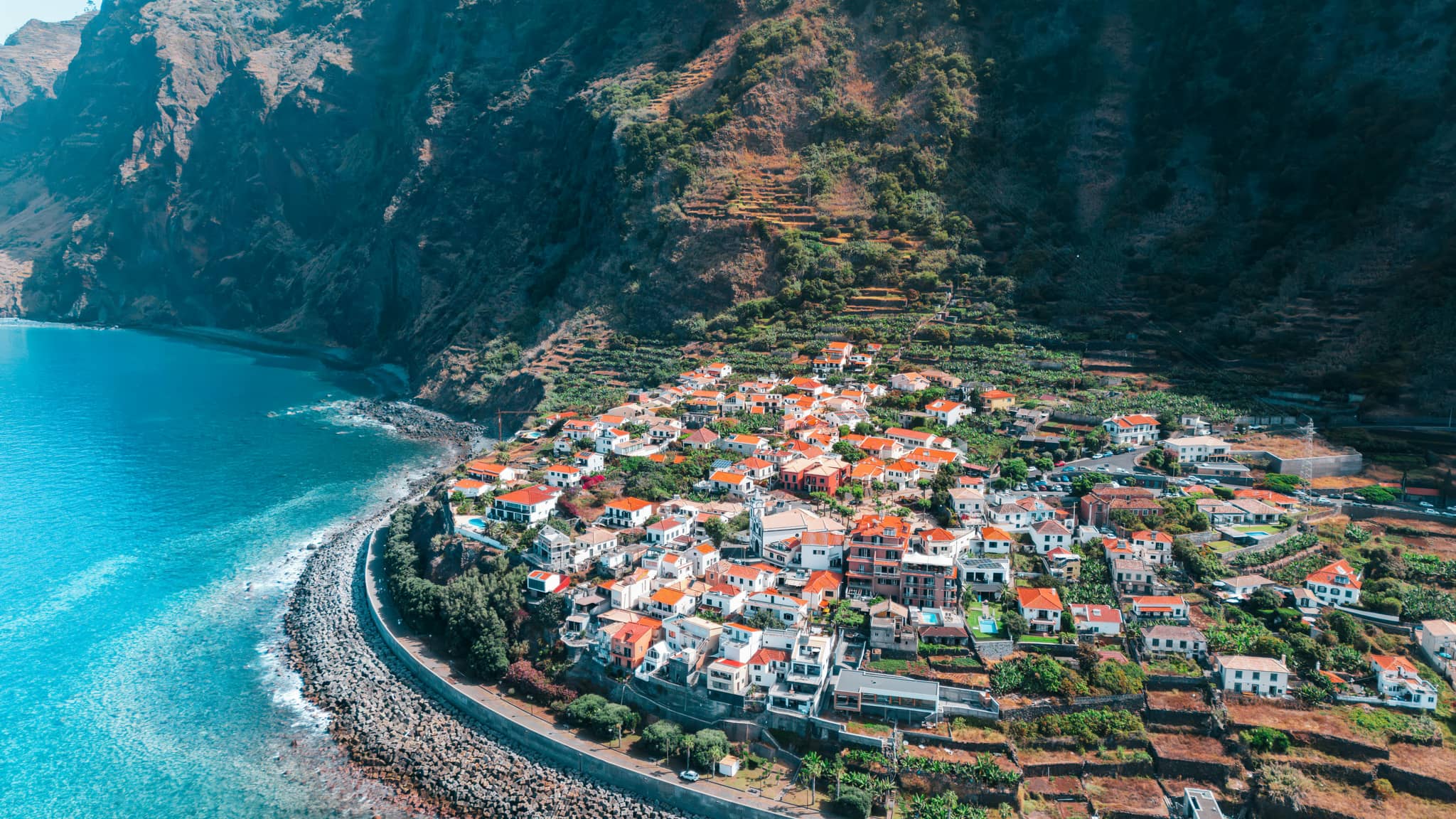 Lush Coastal Scenery