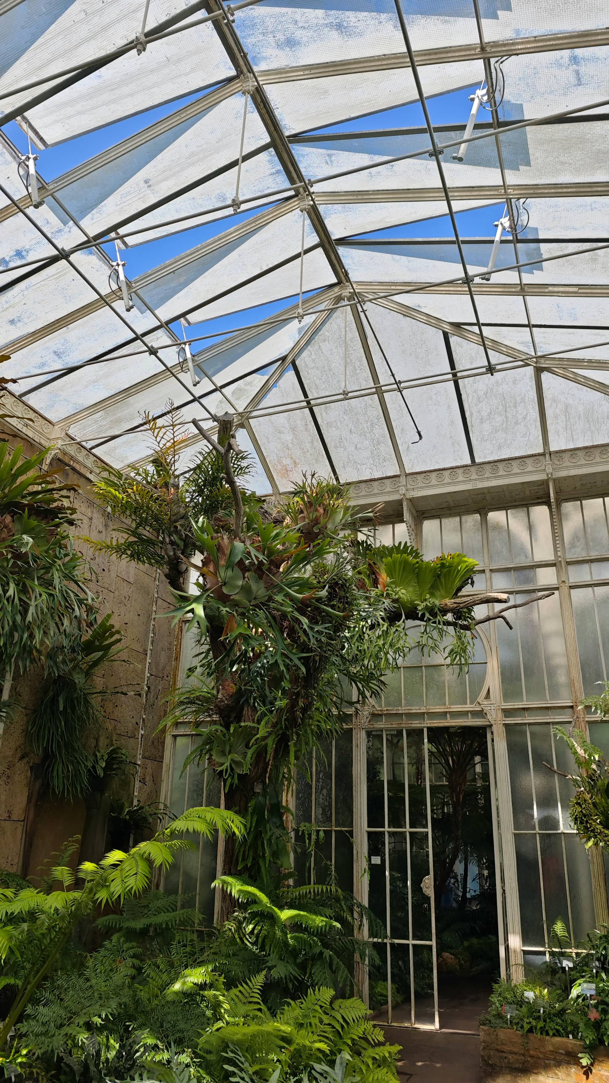 Enchanted Greenhouse Gardens
