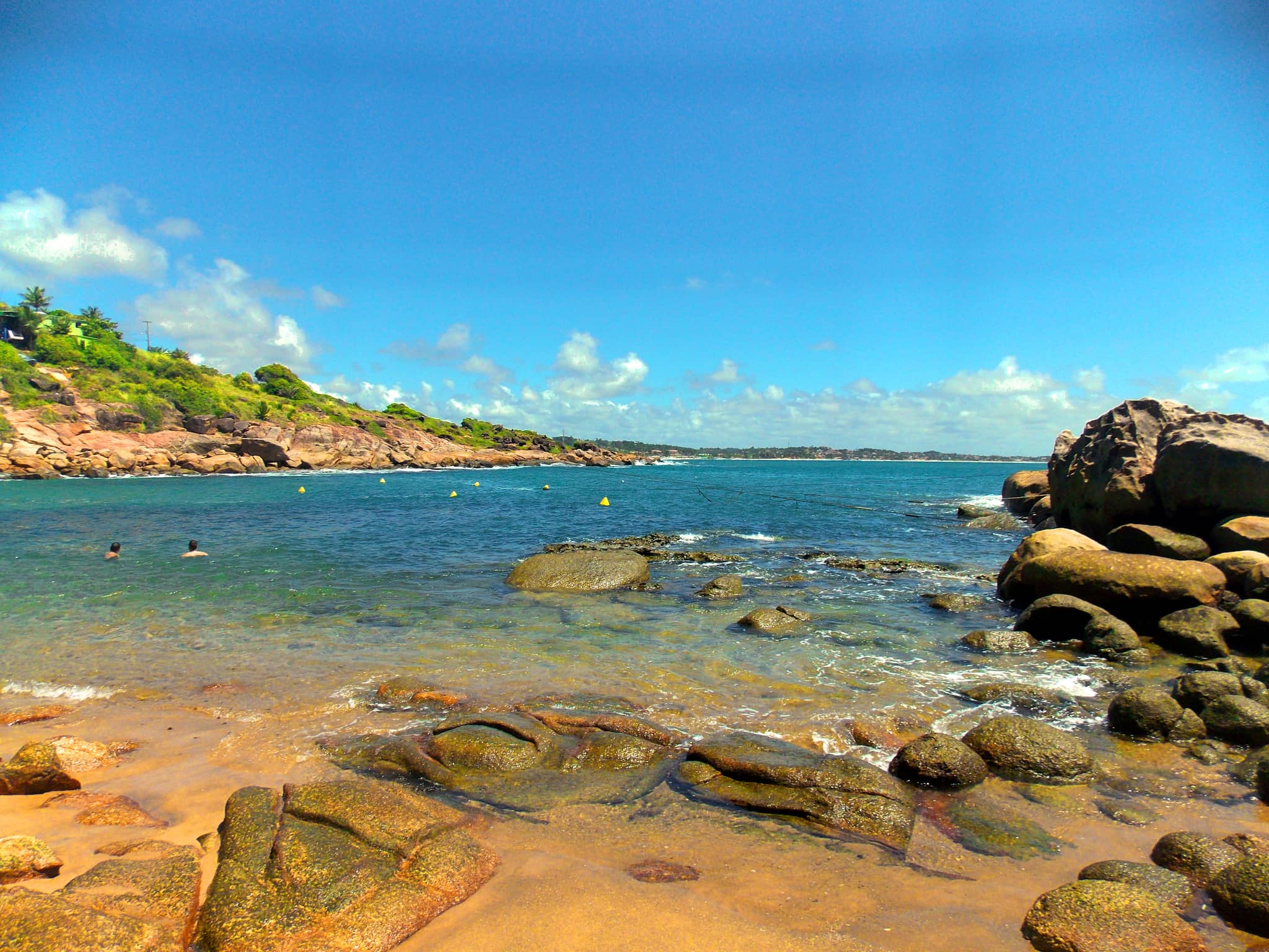 Scenic Cove Views