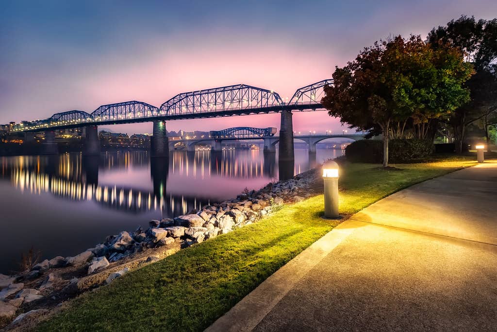 Walnut Street Bridge Views