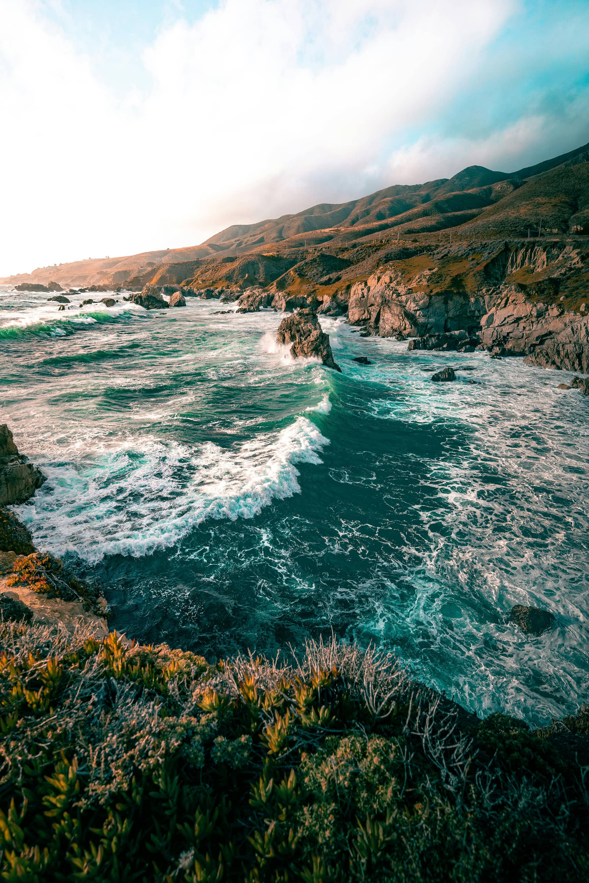 Coastal Bluff Trail