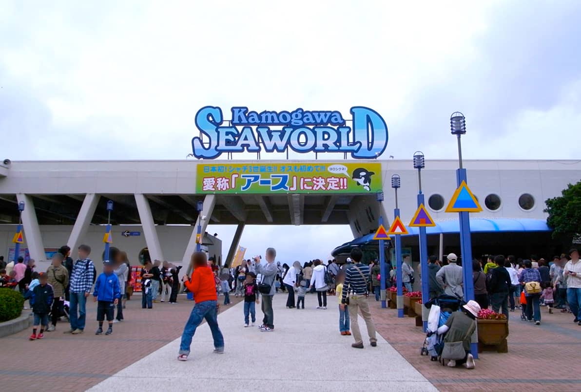 Ocean Wonders