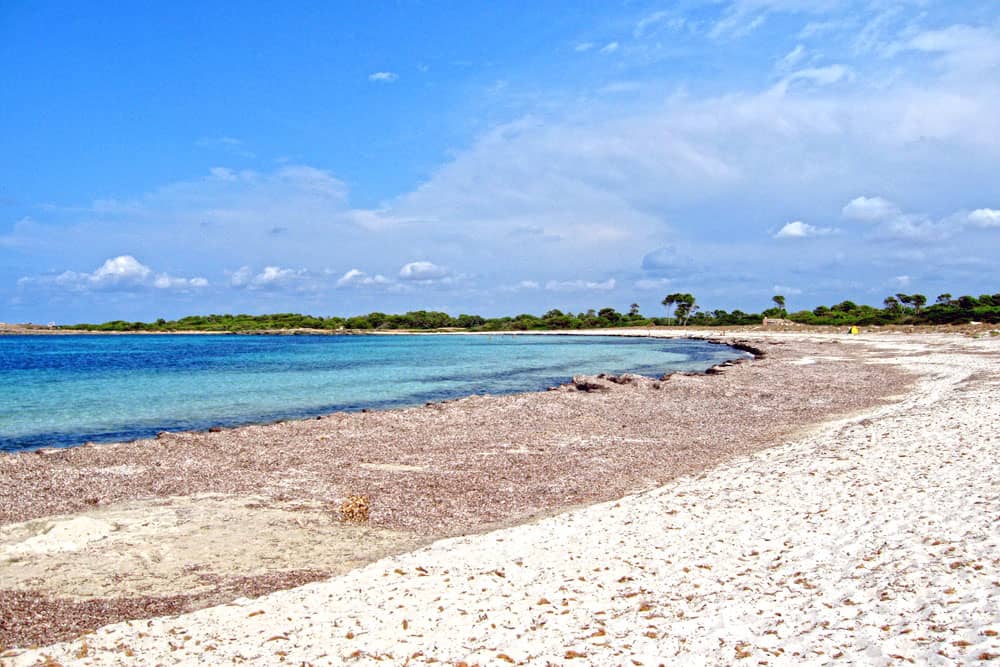 Tranquil Swimming Conditions