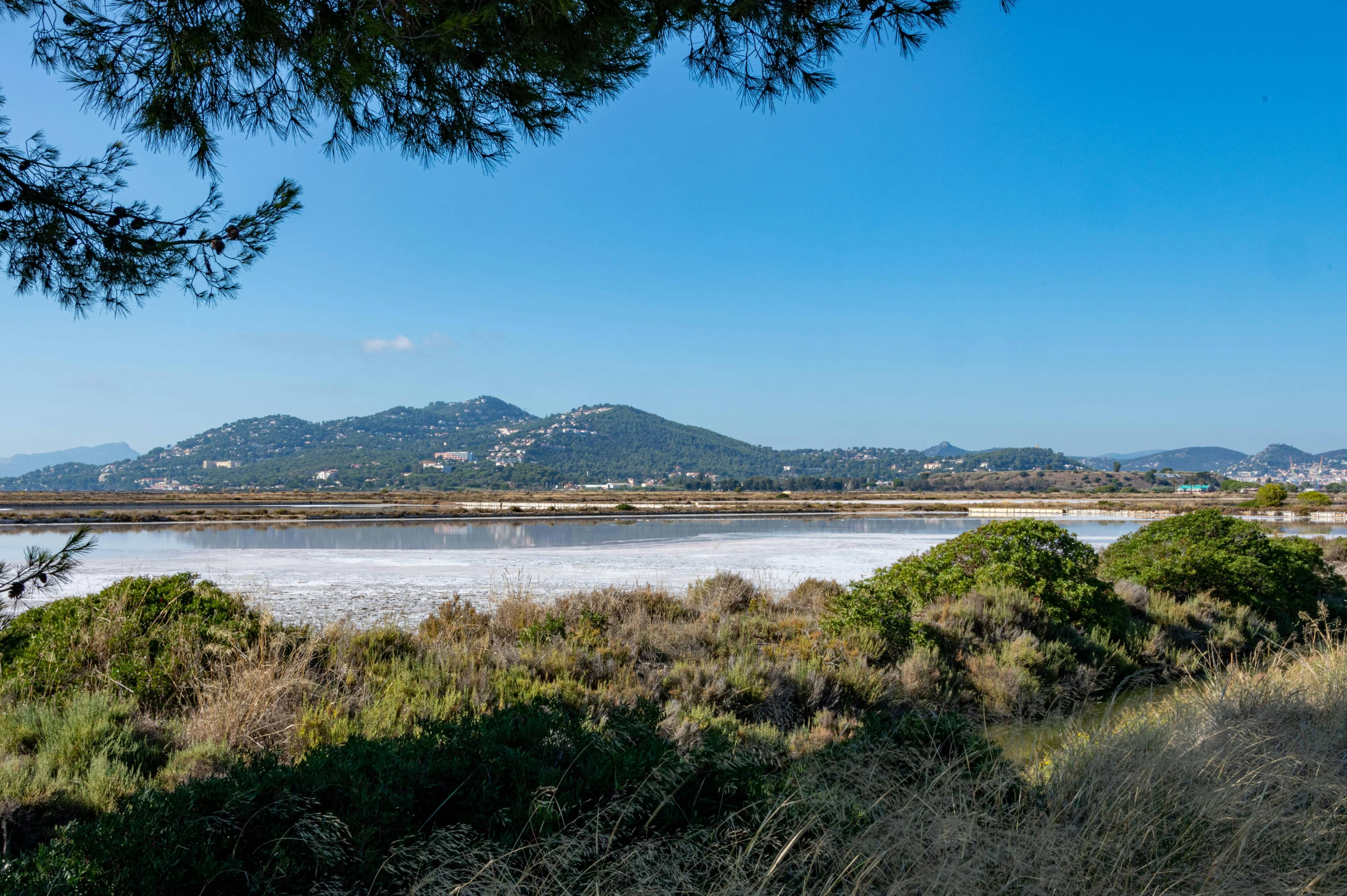 Vast Salt Pan Landscapes