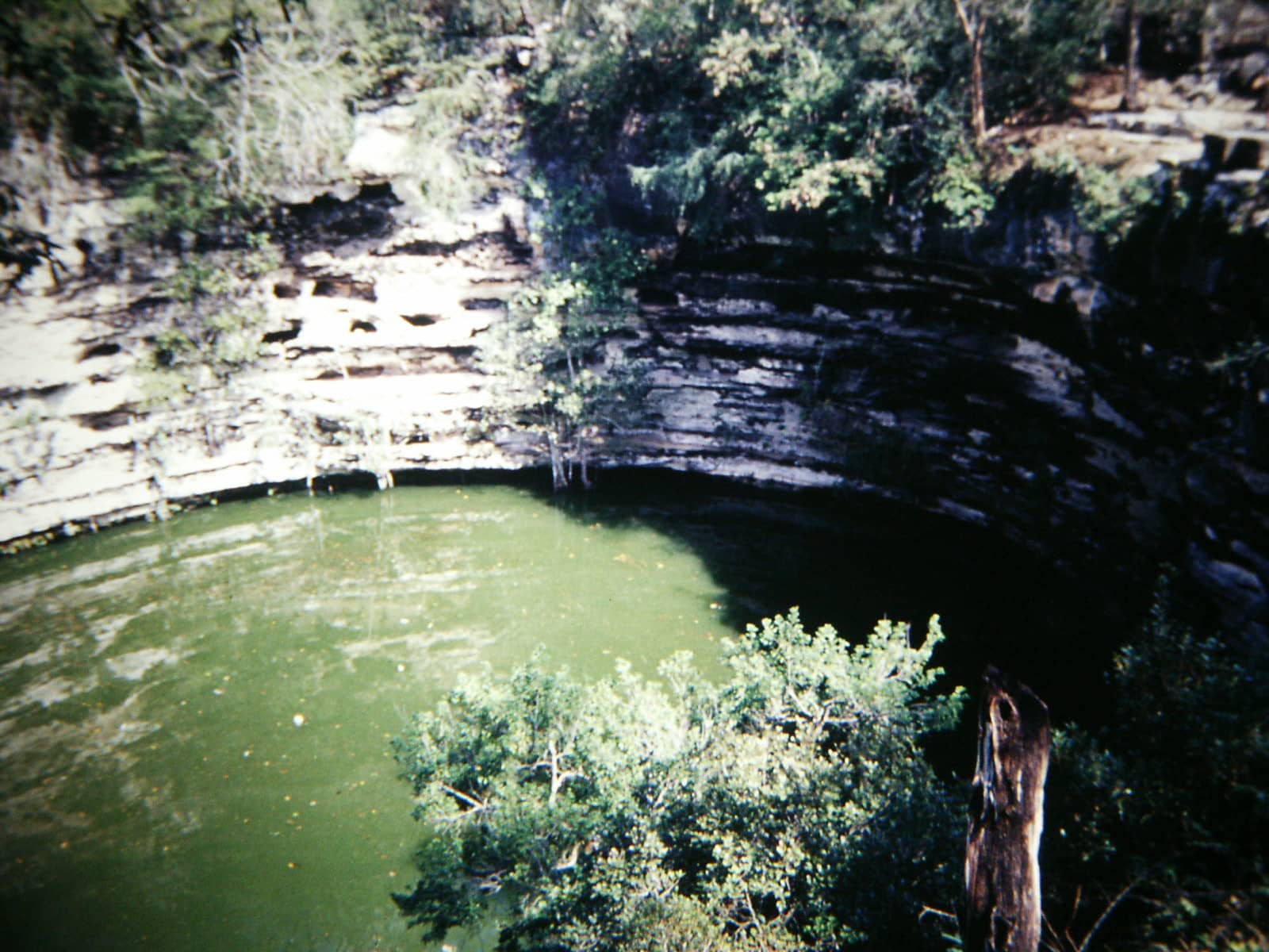 Sacred Cenote