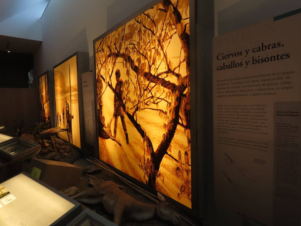 Prehistoric Art Exhibits