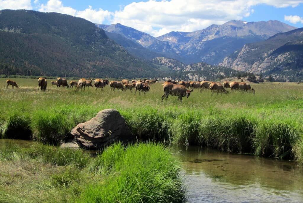 Gateway to Bear Lake Corridor