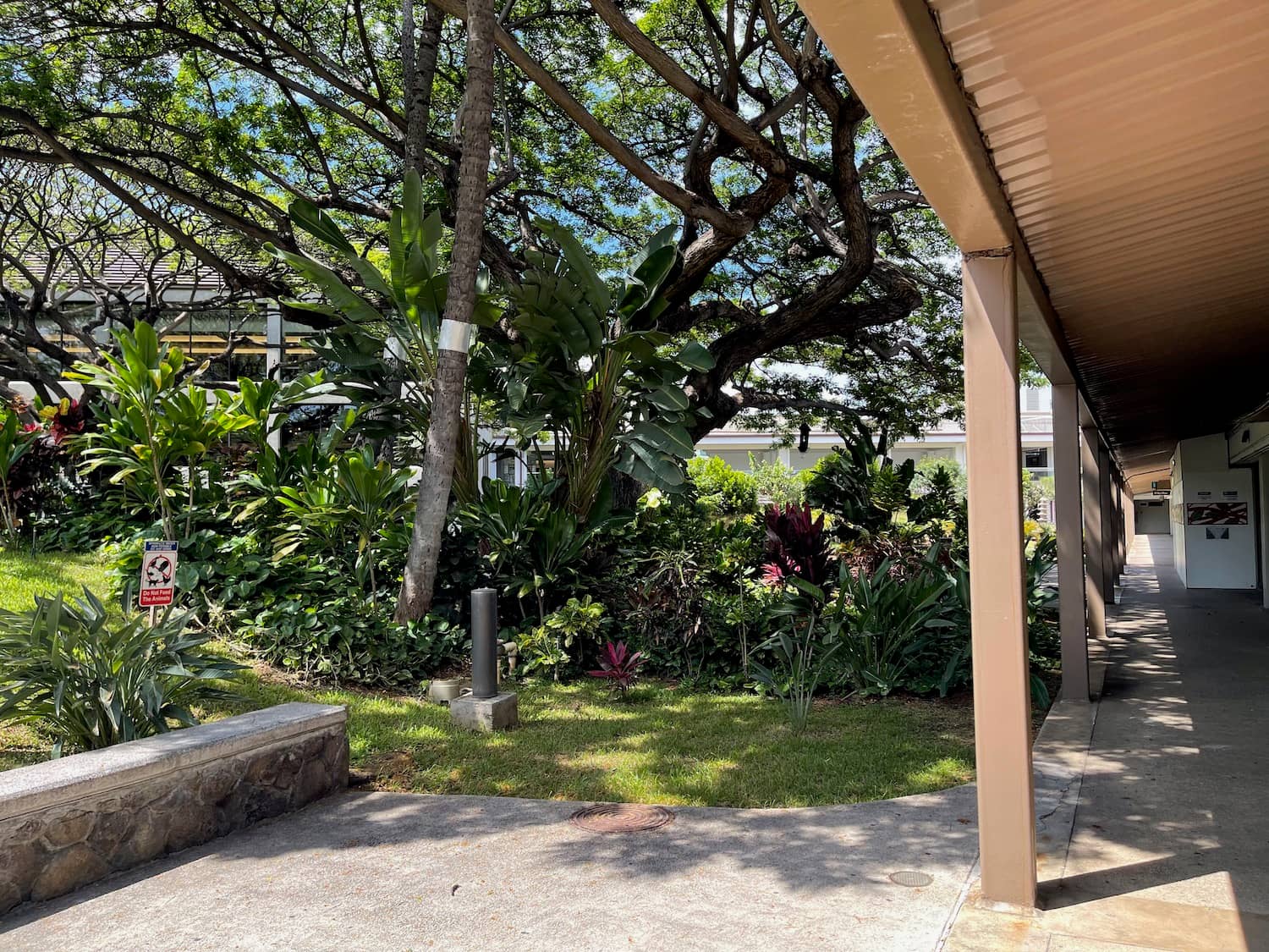 Native Hawaiian Gardens