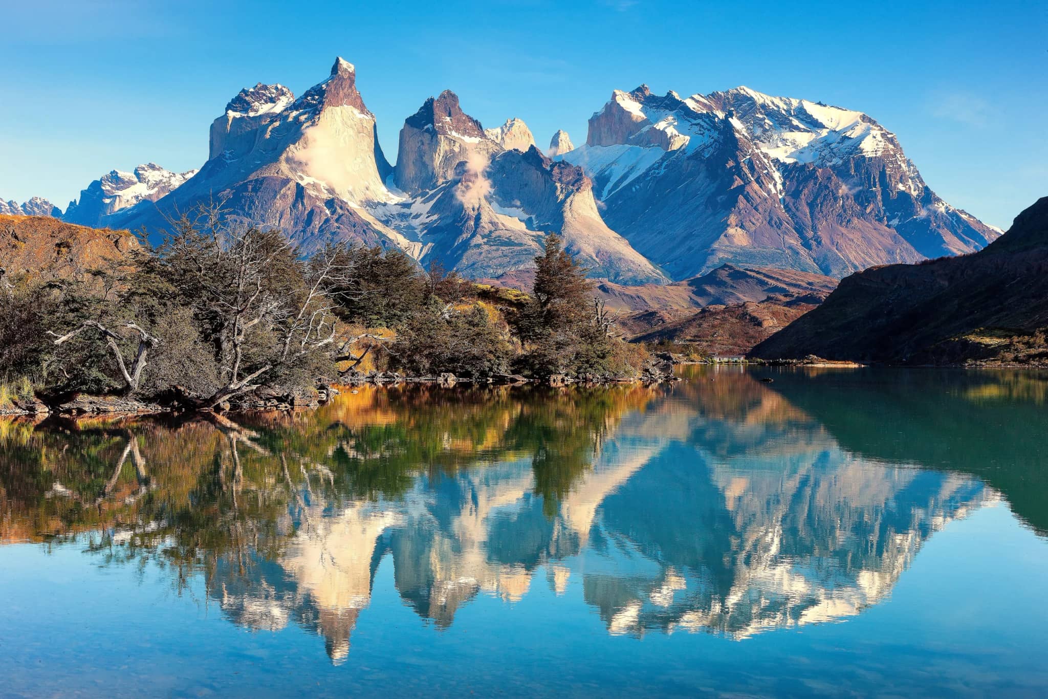 Patagonian Forest Trail