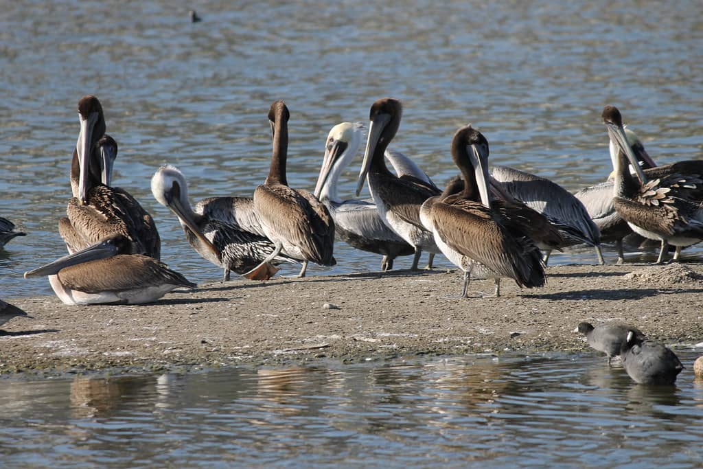 Malibu Lagoon State Beach