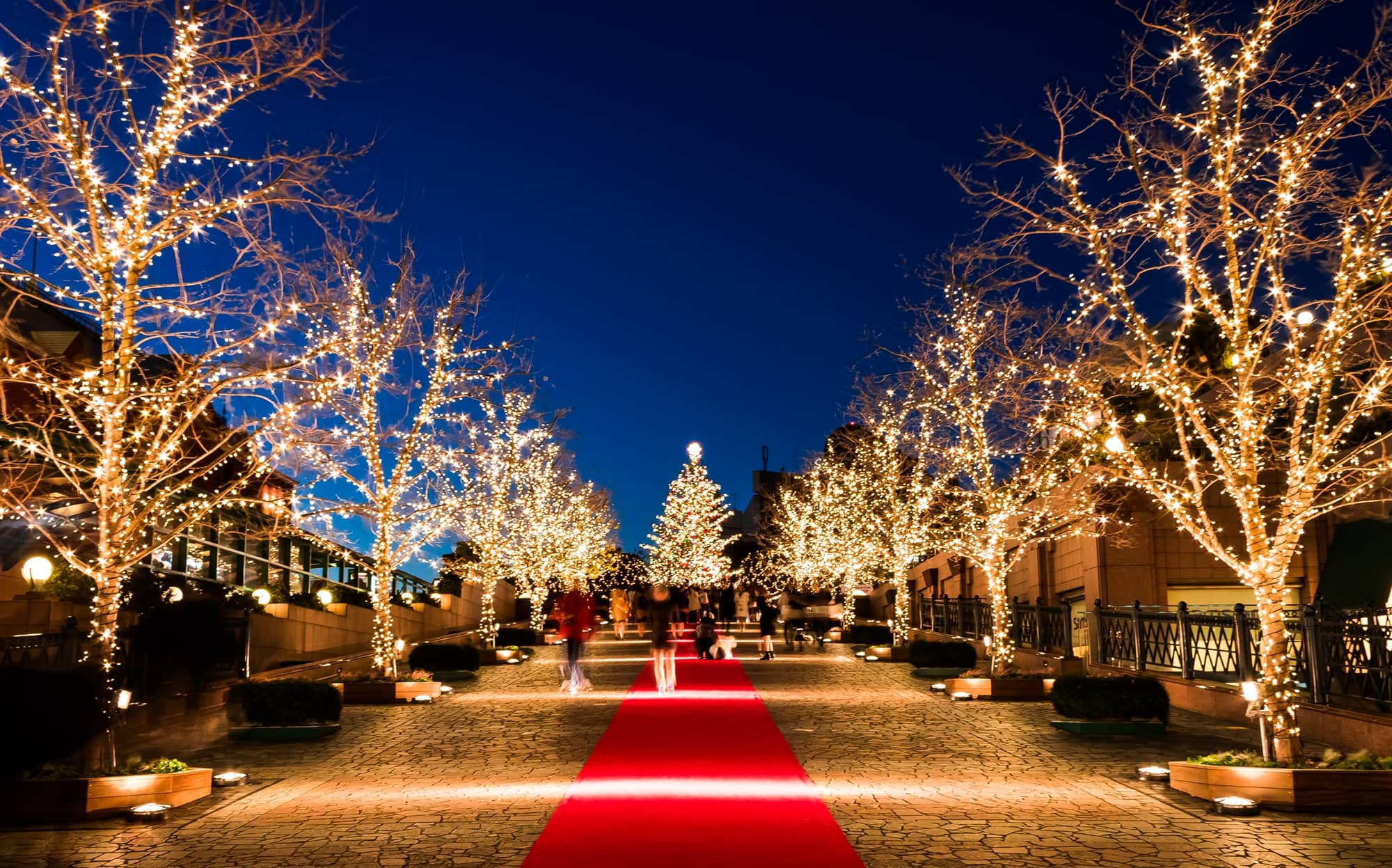 Winter Illuminations