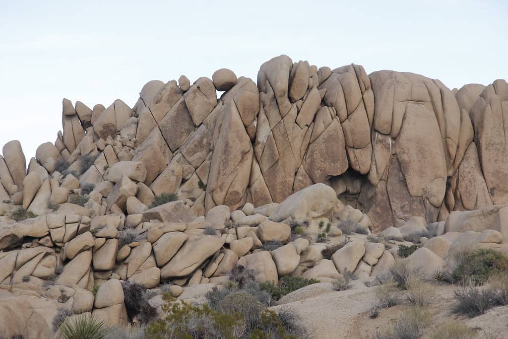 Desert Scrambling Adventure