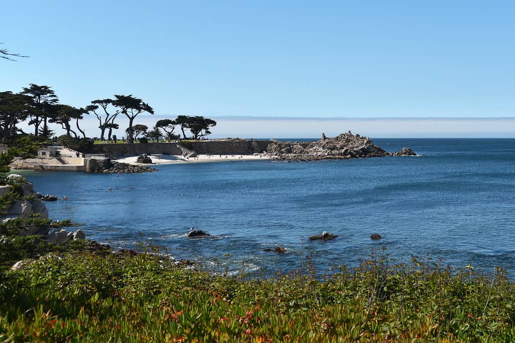 Scenic Coastal Strolls