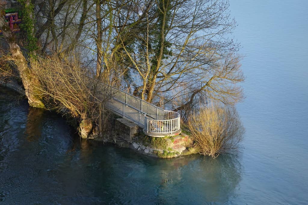 Summer River Swimming
