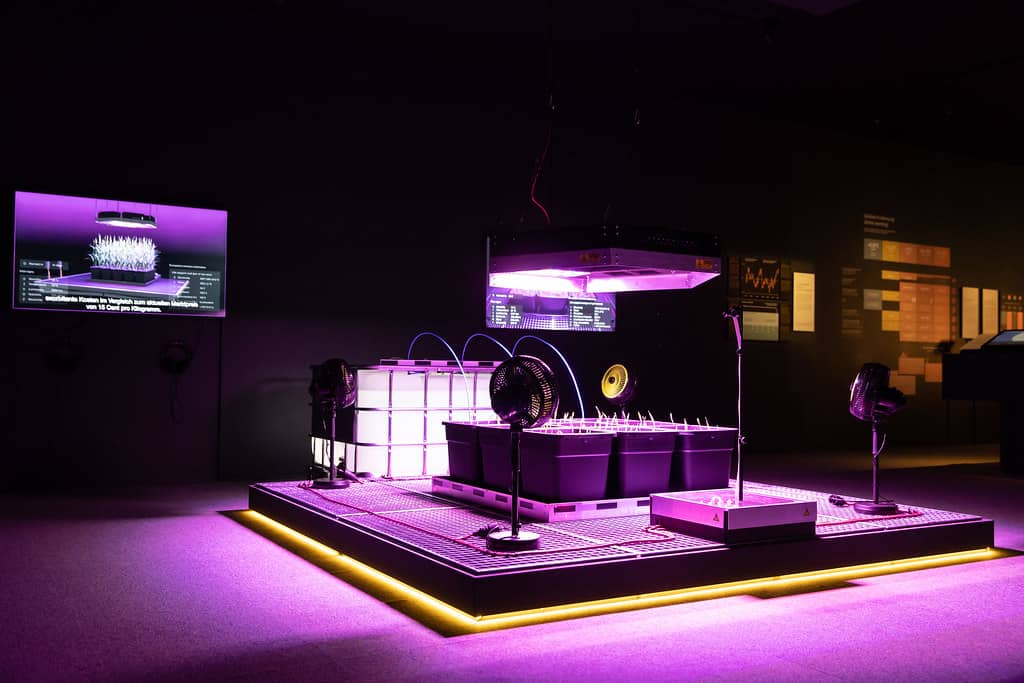 Humanity and Earth Connections