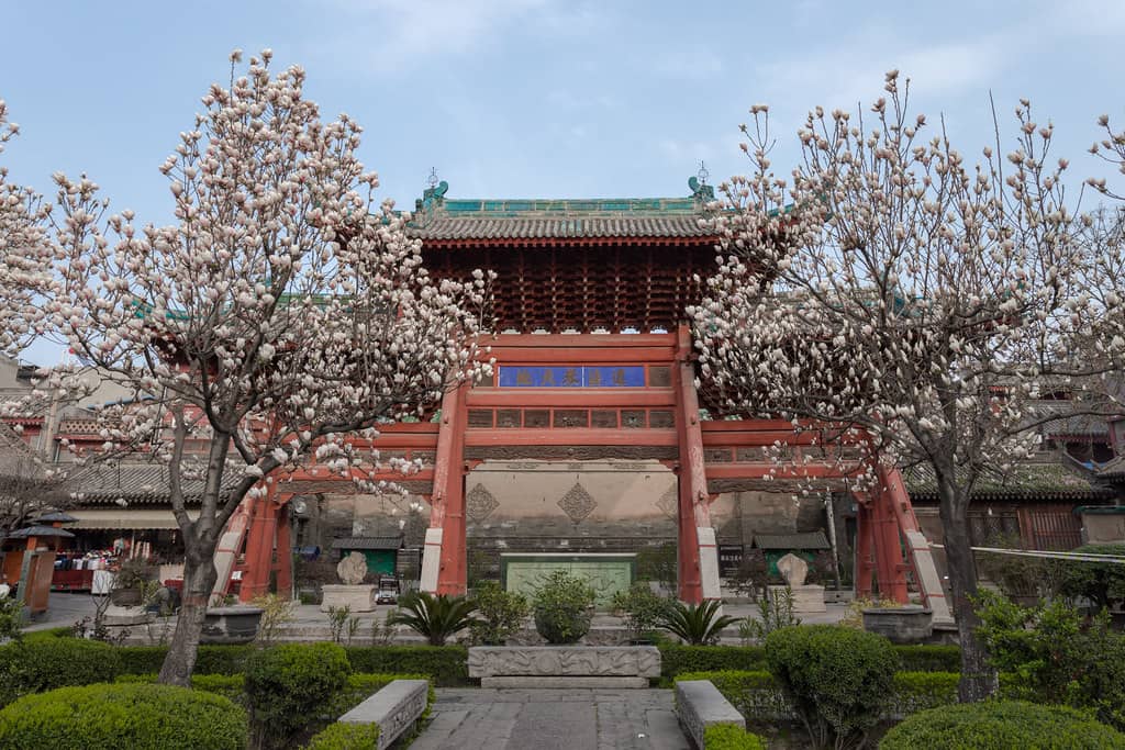 Placid Gardens