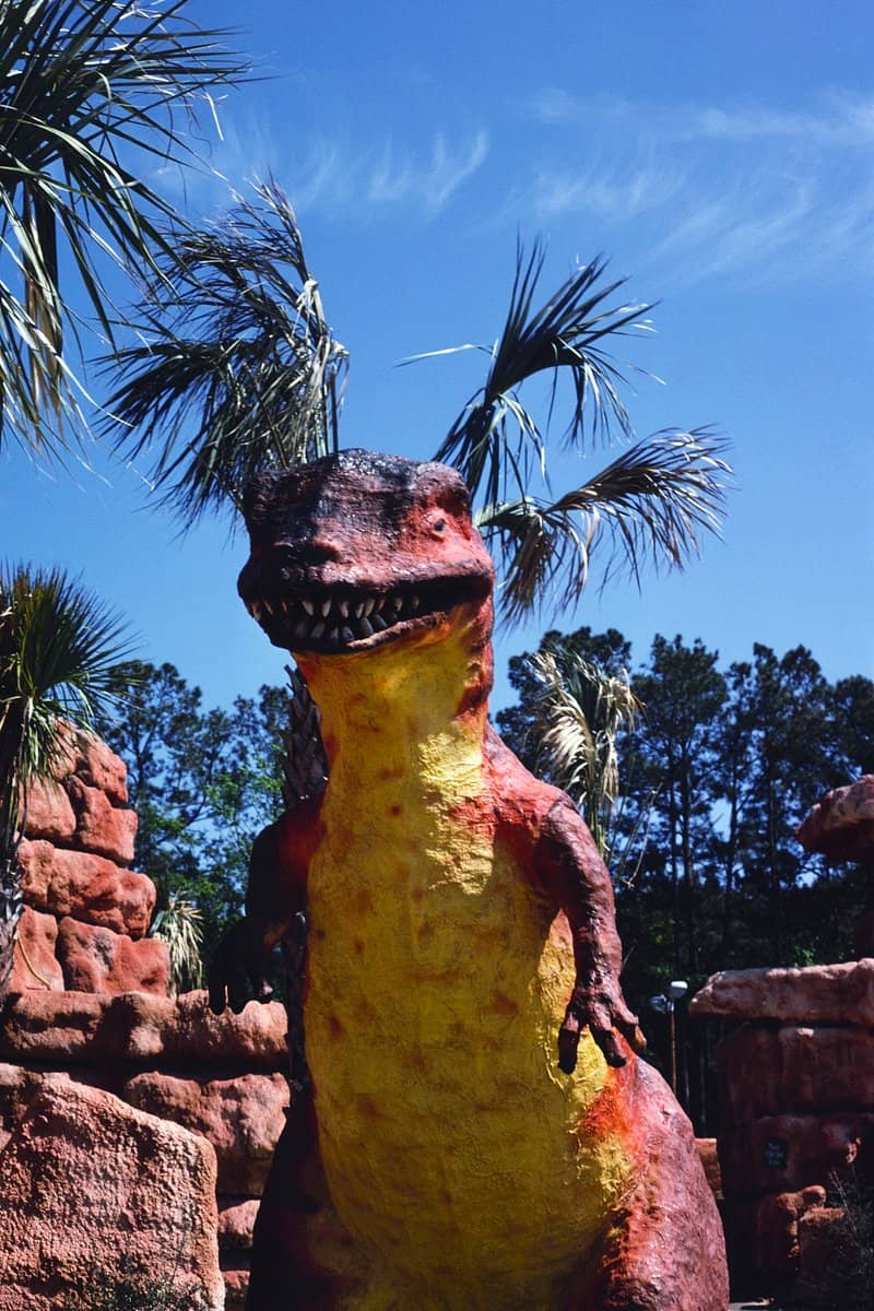 The Iconic Gator