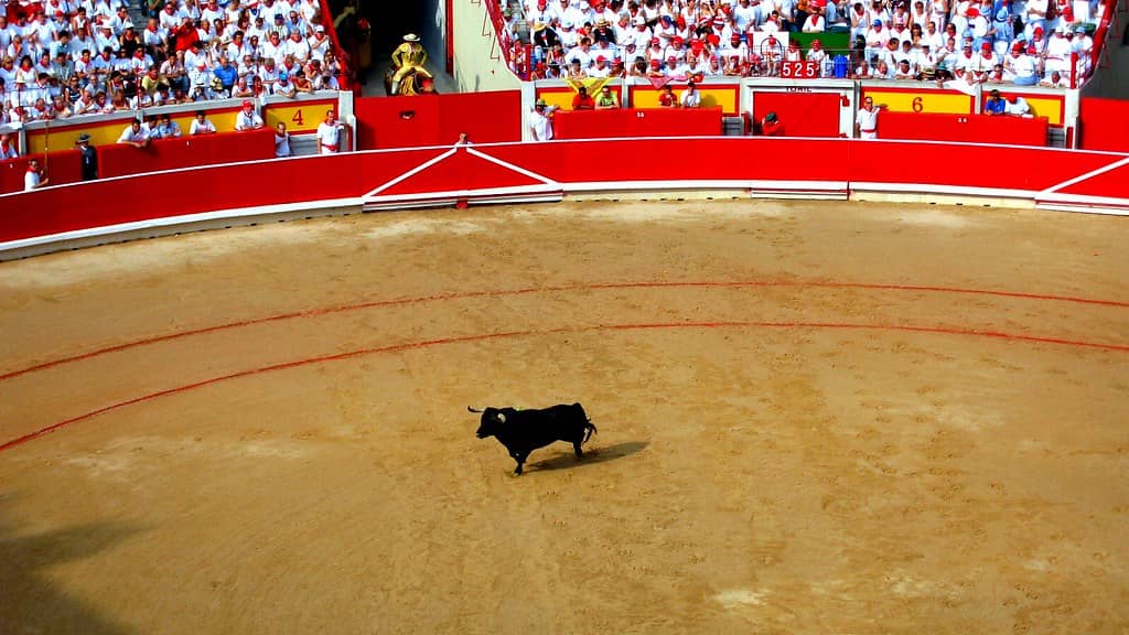 Bullfights (Corrida de Toros)