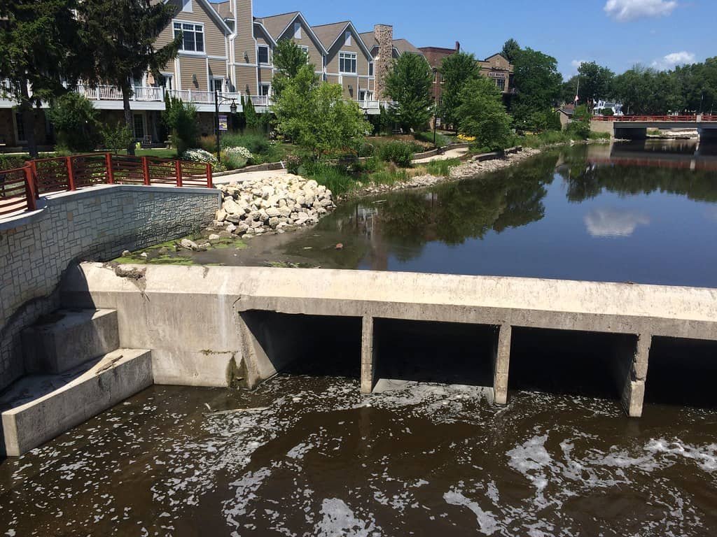Peaceful Lakeside Strolls