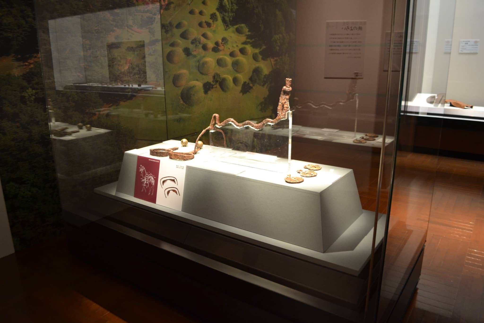 Special Exhibitions