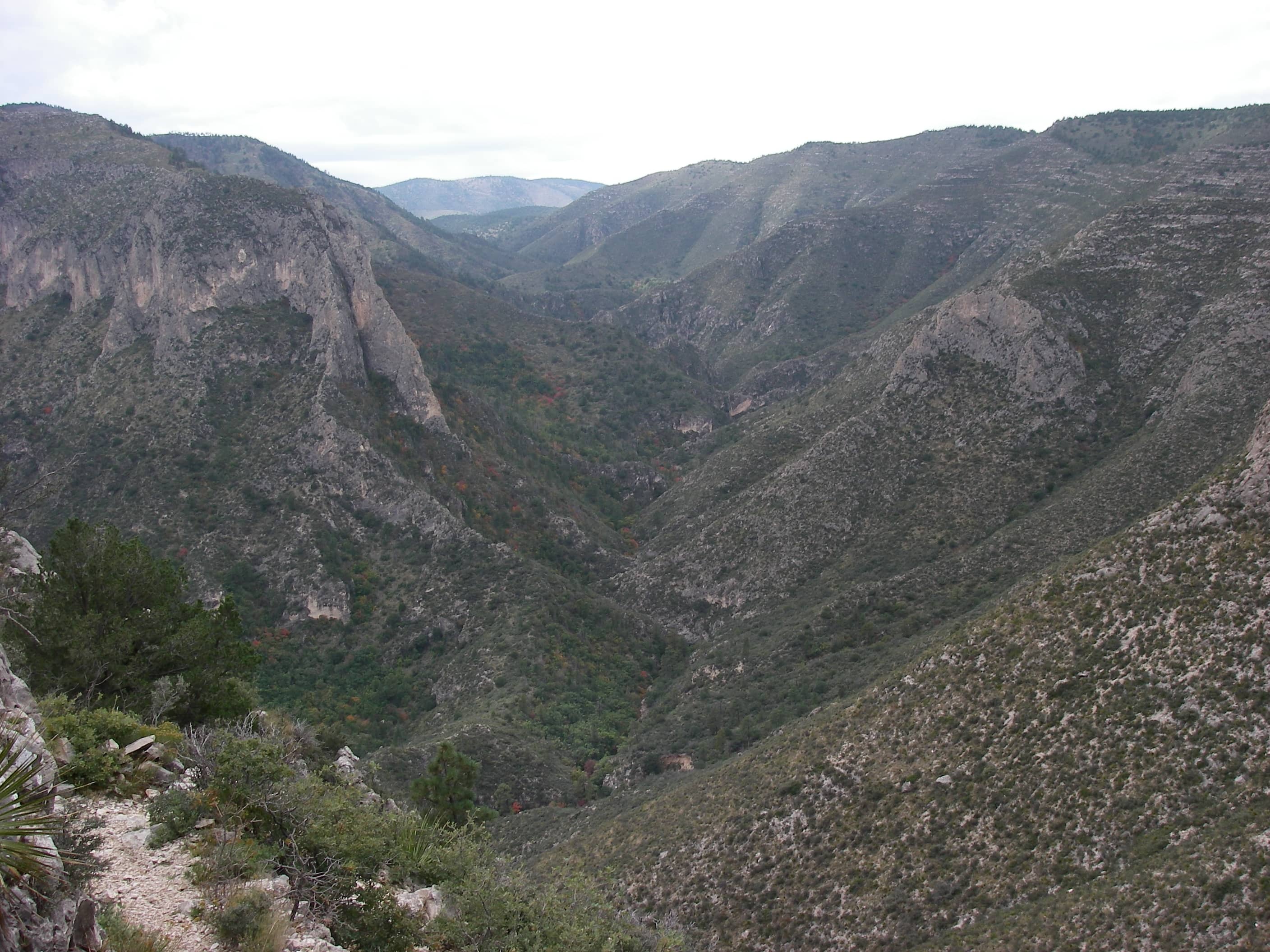McKittrick Canyon