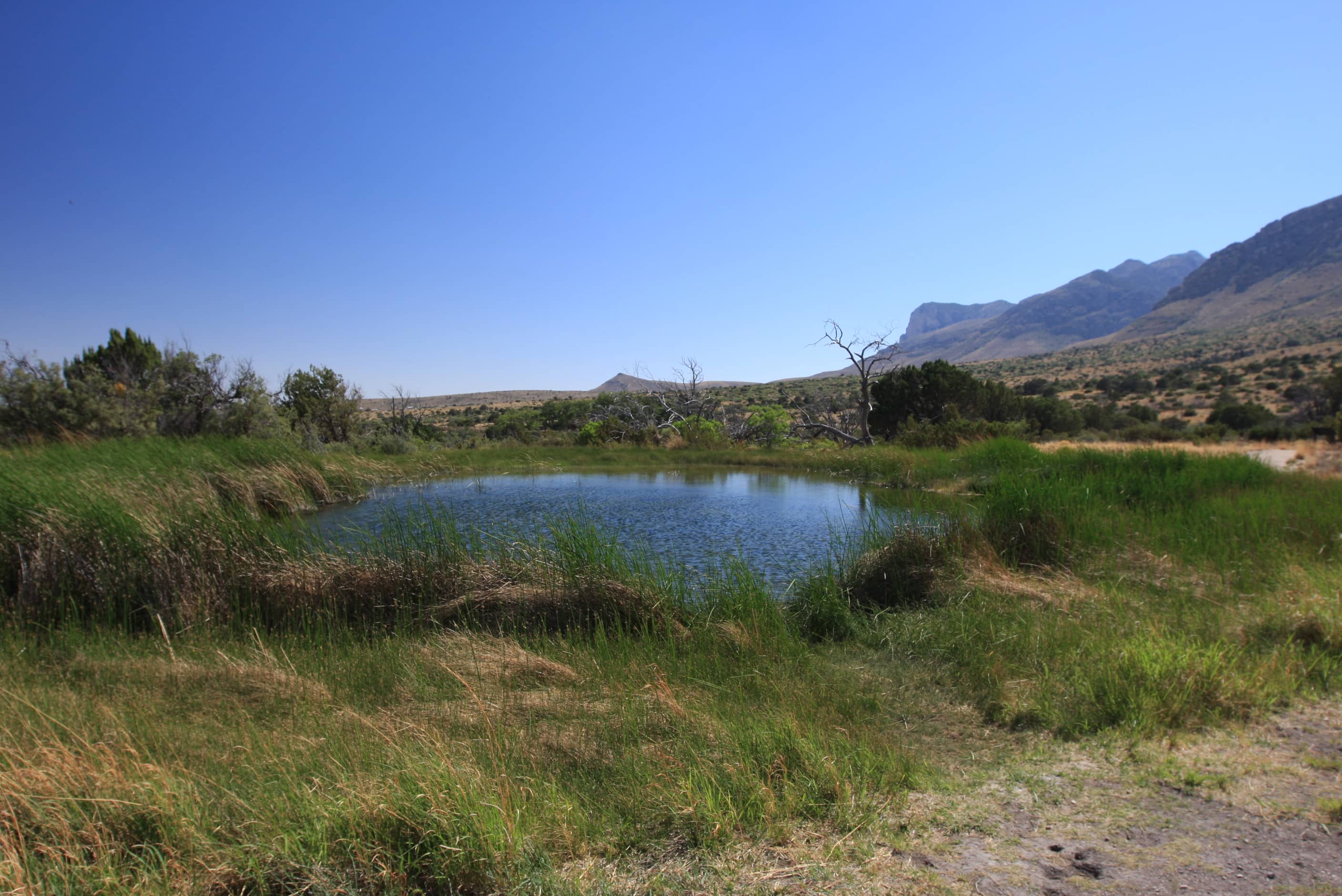 Frijole Ranch Museum