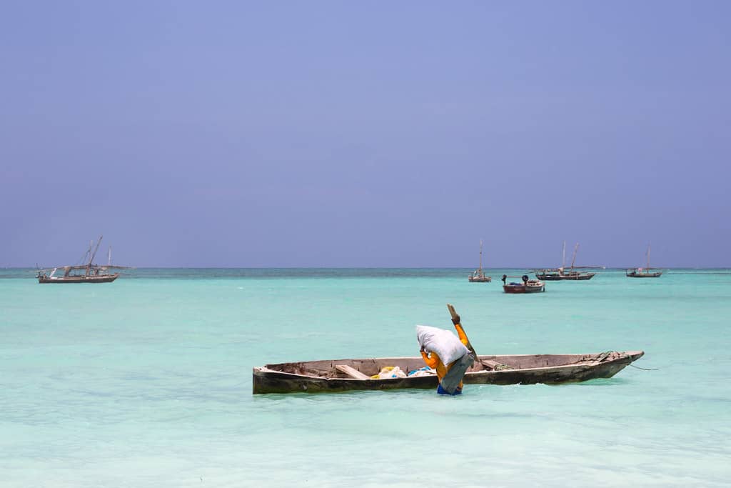 Local Fishermen at Work