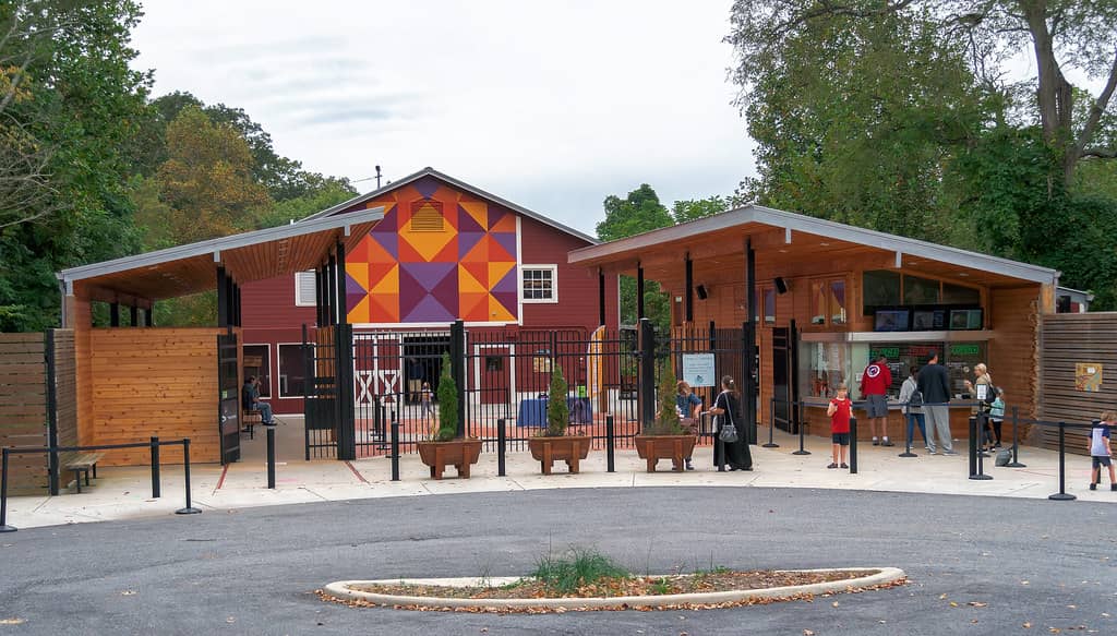 Interactive Play Areas