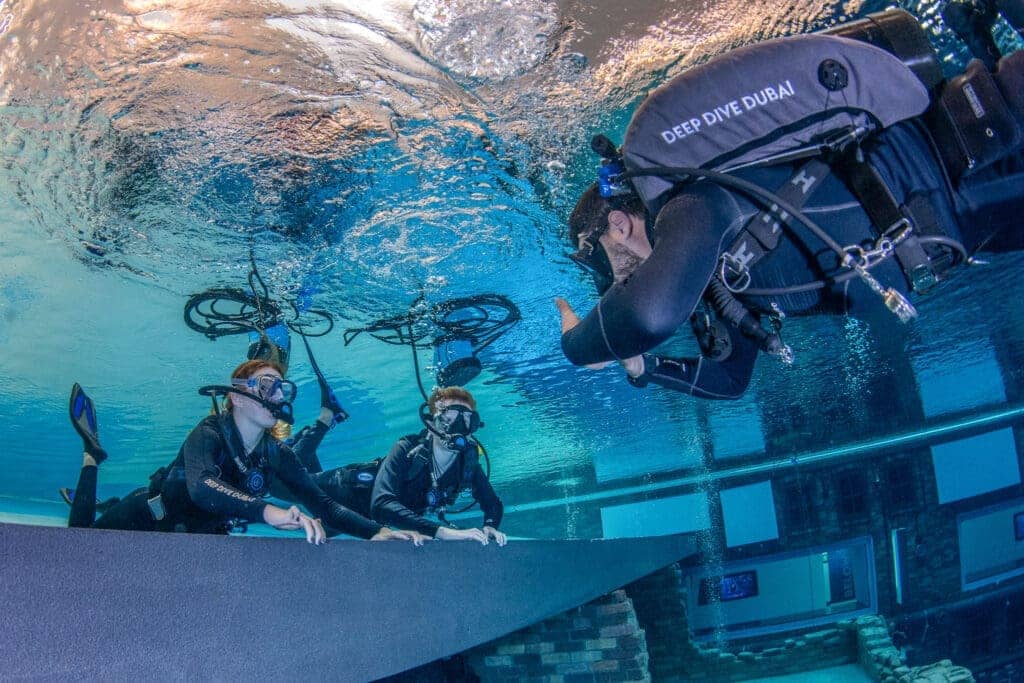 Conservation Dives