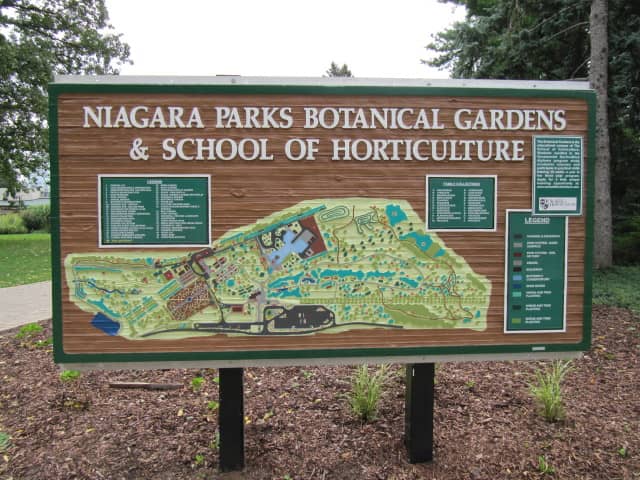 The Enchanting Rose Garden